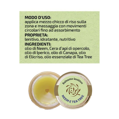 Balsamo Rigenera 2026 – Edizione Limitata (Plus + Sardis)